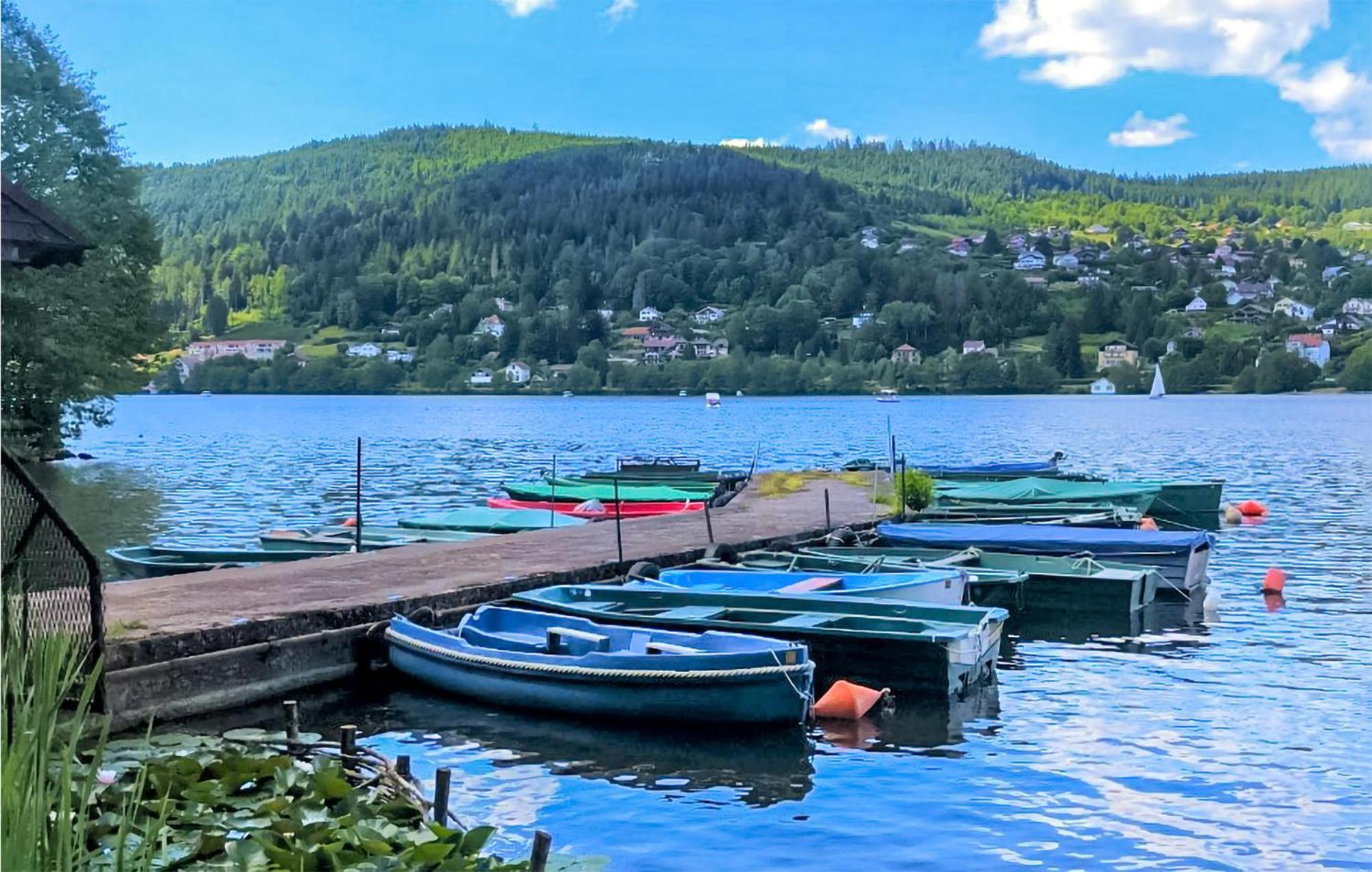 Gorgeous Apartment In Gerardmer With Kitchen Ngoại thất bức ảnh