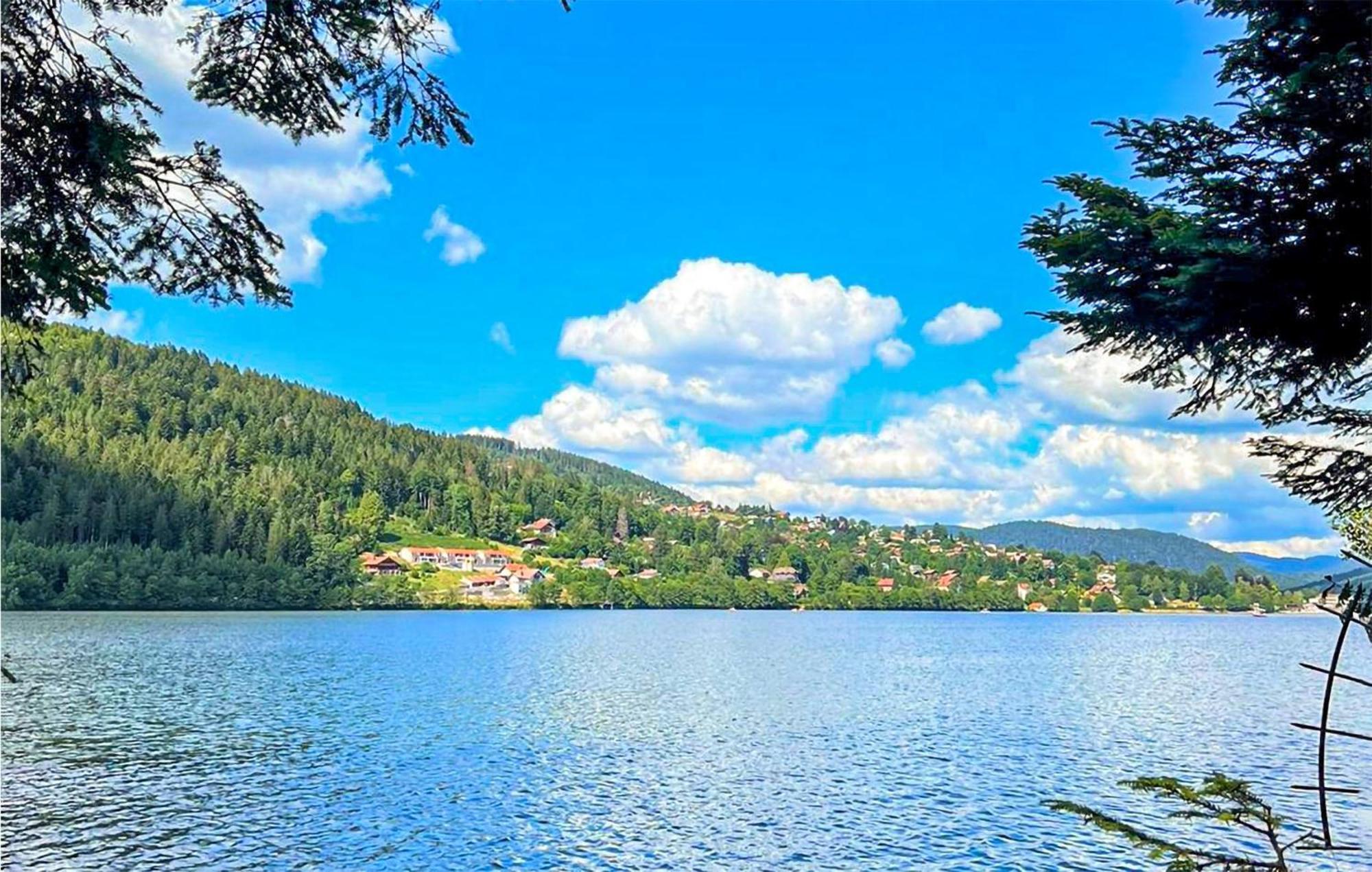 Gorgeous Apartment In Gerardmer With Kitchen Ngoại thất bức ảnh